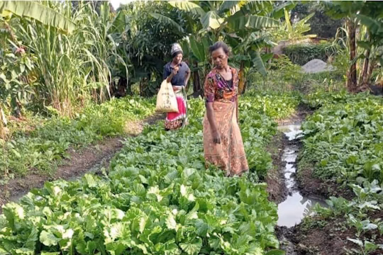volunteer-abroad-in-tanzania-ivhq-sustainable-agriculture-1 ivhq tanzania VolunteerForever
