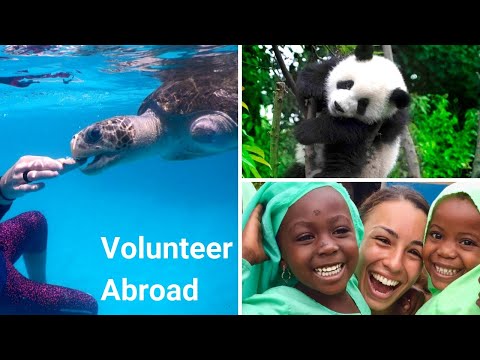 VolunteerForever