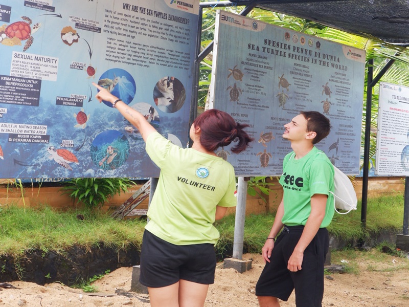 VolunteerForever