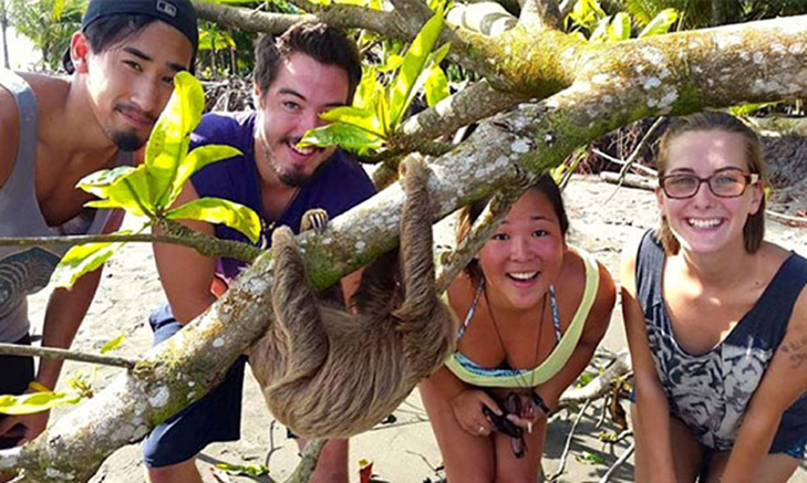 ABroaderView_costarica-sloth-mammal Volunteer Forever - Veterinary Volunteer Programs and Internships
