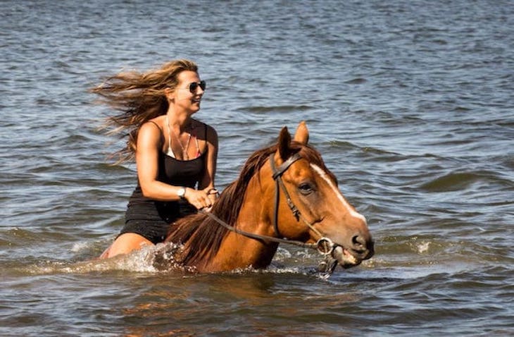african-impact-horses VolunteerForever