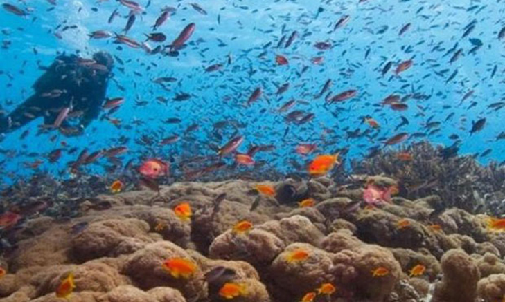 AfricanImpact_scuba1 VolunteerForever