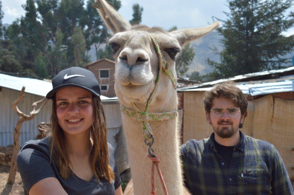 Alpaca-farm-Peru-2 Involvement Volunteers International ivi volunteer animals abroad volunteer animals sydney volunteer animals africa volunteer animals costa rica volunteer animals thailand volunteer animals sydney volunteer animals europe volunteer animals costa rica volunteer animals canberra volunteer animals abroad volunteer animals africa volunteer animals australia volunteer animals asia volunteer animals adelaide volunteer animals bali volunteer with animals volunteer with animals abroad volunteer with animals abroad free volunteer with animals sydney volunteer animals for kids volunteer for animals why volunteer with animals where to volunteer animals can you volunteer with animals can i volunteer with animals how to volunteer with animals how to volunteer to help endangered animals volunteer animals near me volunteer animals australia volunteer animals south america volunteer animals abroad volunteer animals work volunteer animals africa volunteer animals sydney volunteer with animals why do i want to volunteer with animals volunteer animals thailand volunteer animals australia volunteer animals abroad volunteer animals africa volunteer animals south america volunteer animals sydney volunteer animals work volunteer with animals volunteer work with animals
