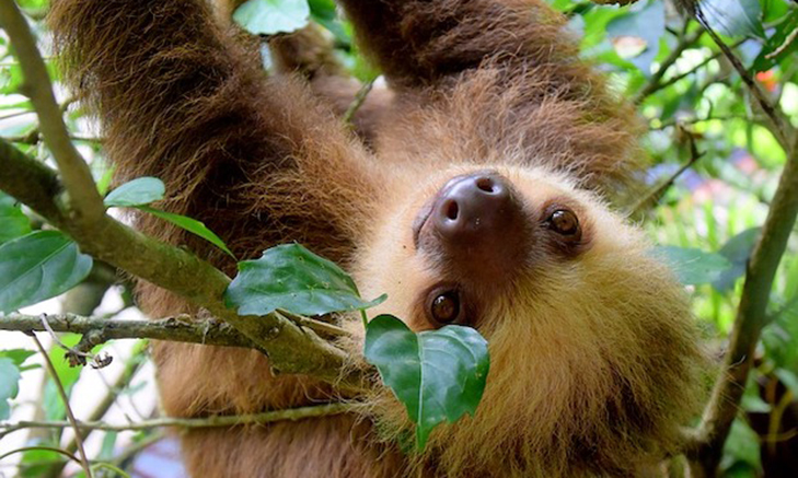 best-places-to-volunteer-abroad-costa-rica Volunteer Forever - 30 Best Places to Volunteer Abroad