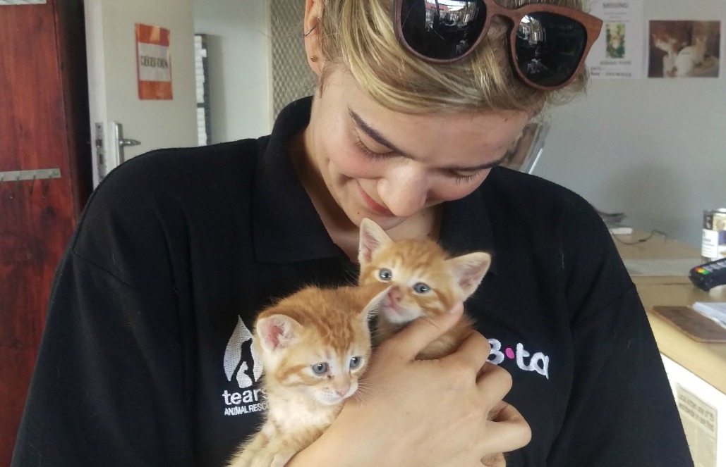 volunteer animals abroad volunteer animals sydney volunteer animals africa volunteer animals costa rica volunteer animals thailand volunteer animals sydney volunteer animals europe volunteer animals costa rica volunteer animals canberra volunteer animals abroad volunteer animals africa volunteer animals australia volunteer animals asia volunteer animals adelaide volunteer animals bali volunteer with animals volunteer with animals abroad volunteer with animals abroad free volunteer with animals sydney volunteer animals for kids volunteer for animals why volunteer with animals where to volunteer animals can you volunteer with animals can i volunteer with animals how to volunteer with animals how to volunteer to help endangered animals volunteer animals near me volunteer animals australia volunteer animals south america volunteer animals abroad volunteer animals work volunteer animals africa volunteer animals sydney volunteer with animals why do i want to volunteer with animals volunteer animals thailand volunteer animals australia volunteer animals abroad volunteer animals africa volunteer animals south america volunteer animals sydney volunteer animals work volunteer with animals volunteer work with animals