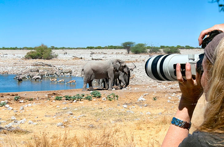 Cheap-Affordable-Volunteer-Programs-Agape Volunteers volunteer with animals abroad