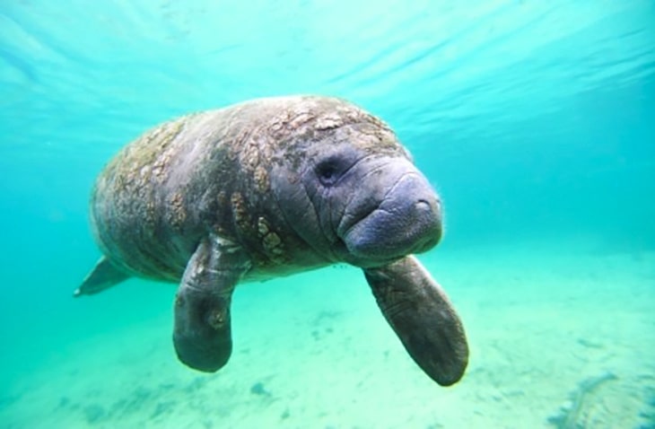 Cheap-Affordable-Volunteer-Programs-Fronteering volunteer for wildlife