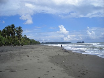 Costa Rica Turtle Project_502f0444383b4 VolunteerForever