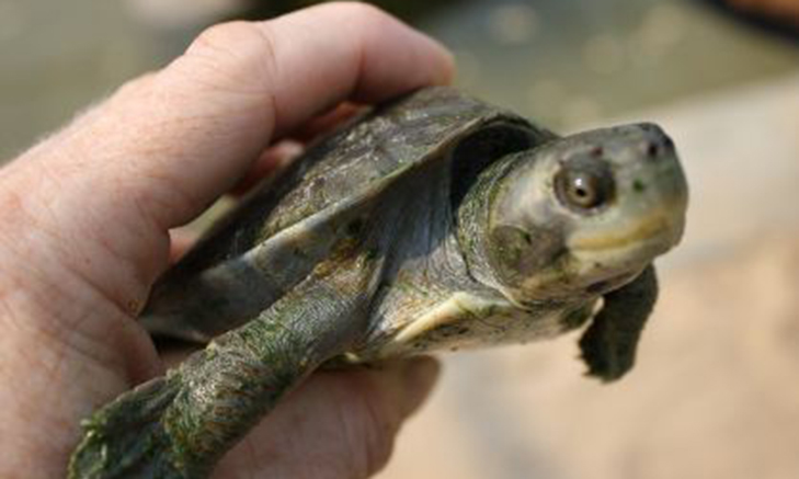 Costarica AEI(1) Volunteer Forever | Volunteer Abroad in Central America