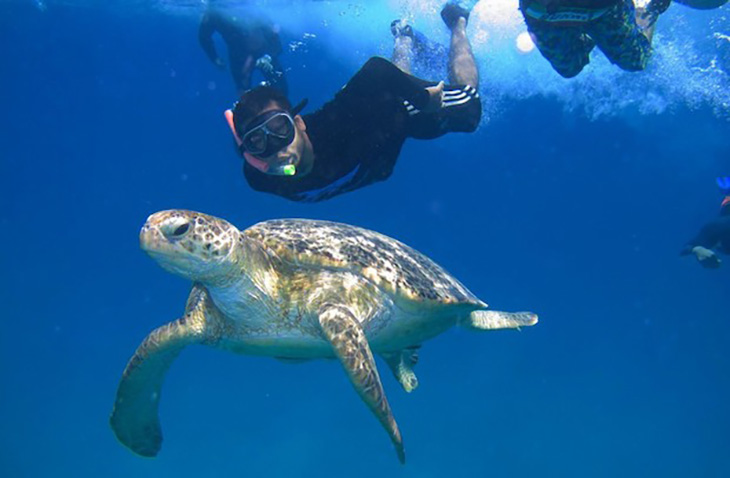 Environment-Conservation-GoEco environmental conservation volunteer