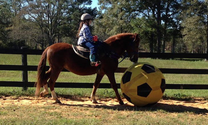 fronteering-ranch Volunteer Forever - Volunteer Abroad in Mental Health, Psychology and Special Needs