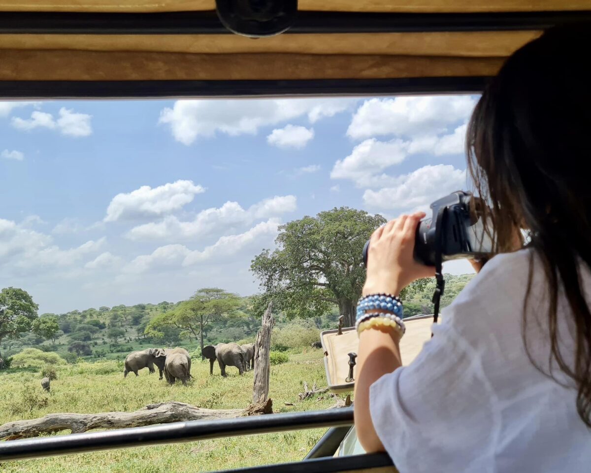 african safari volunteer programs safari volunteer work south africa safari volunteer work africa safari volunteer work safari volunteer trips safari volunteer work south africa safari volunteer work africa safari volunteer safari volunteer work safari volunteer trips volunteer safari kenya volunteer safari park horse safari volunteer safari park volunteer safari west volunteer wildlife safari volunteer botswana safari volunteer mozambique horse safari volunteer lion country safari volunteer volunteer and safari in africa african safari volunteer trips volunteer safari africa volunteer and safari in africa safari park volunteer african safari volunteer trips