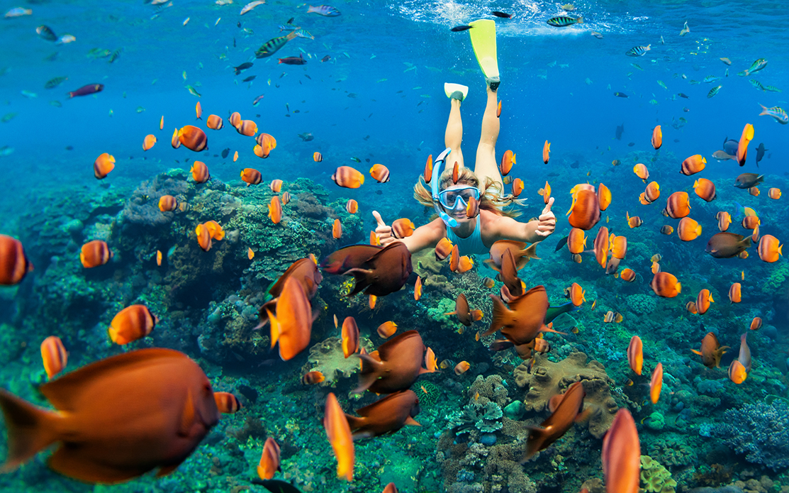 Girl in snorkeling mask dive underwater with coral reef fishes The United States alone may send 20 million volunteer travelers on projects worldwide by the year 2020. The UK, the EU, Australia, and Canada also are seeing millions of its citizens travel for volunteer opportunities. Nearly all of these individual travelers are alone when they begin their journeys.