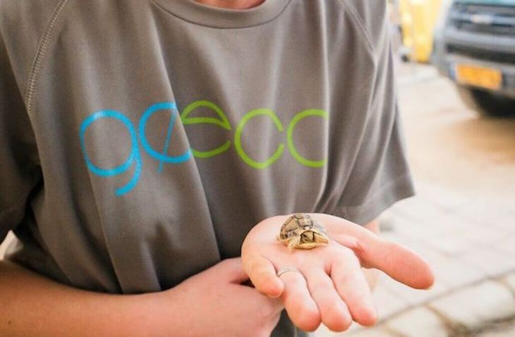 goeco-wildlife-min VolunteerForever