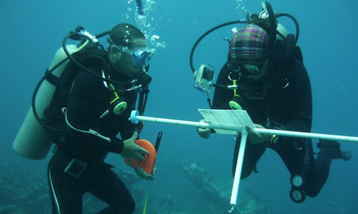 gvi-fiji Volunteer Forever - Volunteer in Australasia & the Pacific
