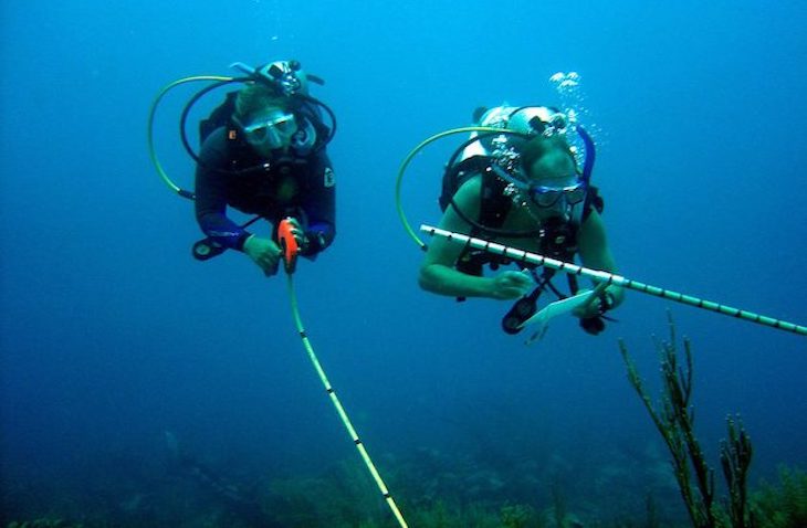 volunteer groups