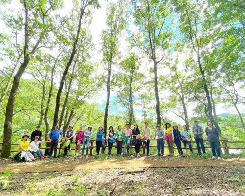 in-the-forest-min-1-qk9udof3xgvvgf3re2i52tx35bd4s5okk6d16pkh40 korea involvement volunteers international ivi VolunteerForever