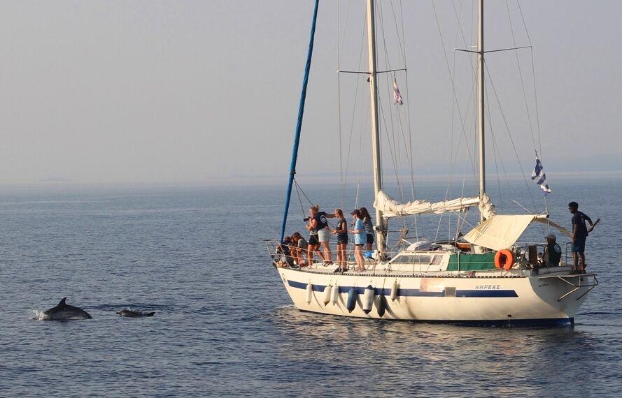 intern-abroad-hq-greece-5a8e1b1c71684 VolunteerForever