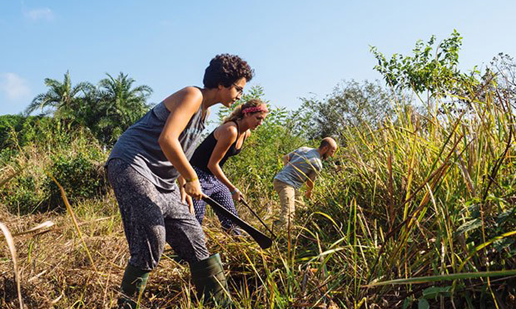 ivhq-agriculture-volunteer-in-ghana Volunteer Forever - Volunteer Abroad Opportunities in West Africa