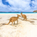 is australia cheap to travel how to travel australia cheap australia travel cheap cheap travel insurance to australia australia travel cheap