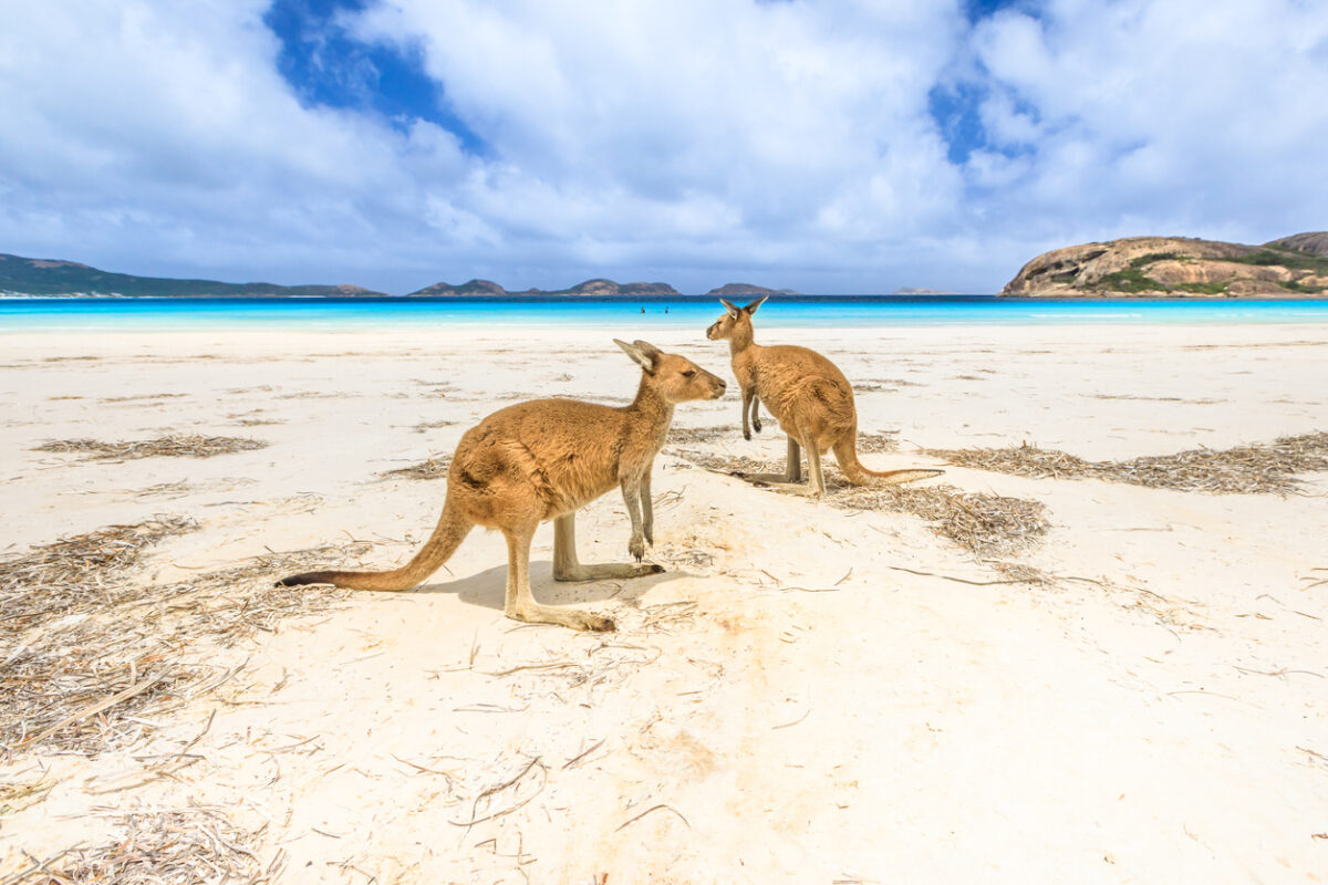 is australia cheap to travel how to travel australia cheap australia travel cheap cheap travel insurance to australia australia travel cheap