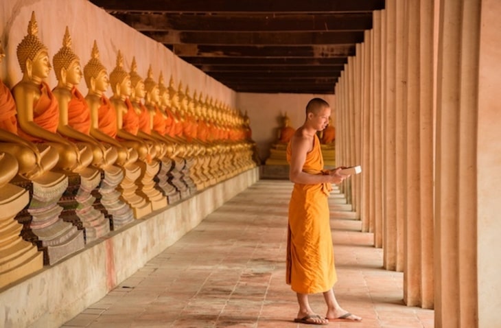 love-volunteers-buddhist-monks-thailand_730x478-min how to volunteer in thailand can i volunteer in thailand can you volunteer in thailand thailand volunteer with elephants volunteer with animals in thailand volunteer trips to thailand volunteer program for thailand volunteer thailand org volunteer thailand free accommodation volunteer thailand free volunteer thailand elephants volunteer thailand dogs volunteer thailand elephants volunteer thailand free accommodation volunteer thailand free volunteer thailand volunteer thailand dogs thailand volunteer programs thailand volunteer teaching english where to stay and volunteer in thailand where to stay and volunteer in thailand volunteer for stray dogs in thailand volunteer with elephants in thailand where to stay and volunteer in thailand volunteer to help elephants in thailand volunteer to teach english in thailand volunteer thailand elephants volunteer thailand animals volunteer thailand elephants volunteer thailand animals volunteer in thailand thailand volunteer programs elephant sanctuary thailand volunteer work volunteer work in thailand thailand elephant sanctuary volunteer job thailand volunteer