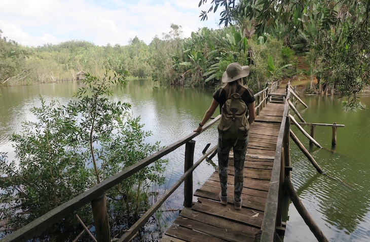 Volunteer for environmental conservation in Madagascar