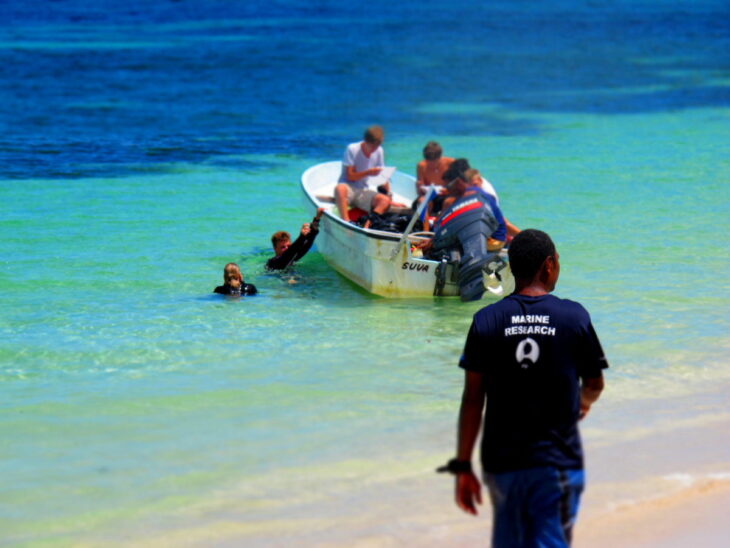 Marine Conservation in Mexico_GVI photo volunteer mexico mexico volunteer programs mexico volunteer visa mexico volunteer organizations mexico volunteer teaching english volunteer opportunities mexico medical volunteer mexico where to volunteer in mexico how to volunteer in mexico places to volunteer in mexico do i need a visa to volunteer in mexico volunteer opportunities in mexico study spanish in mexico and volunteer volunteer in mexico volunteer to teach english in mexico volunteer trips to mexico how to volunteer in mexico study spanish in mexico and volunteer volunteer in mexico and learn spanish