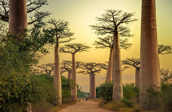Peace-Corps-Alternatives-Frontier volunteer in Madagascar