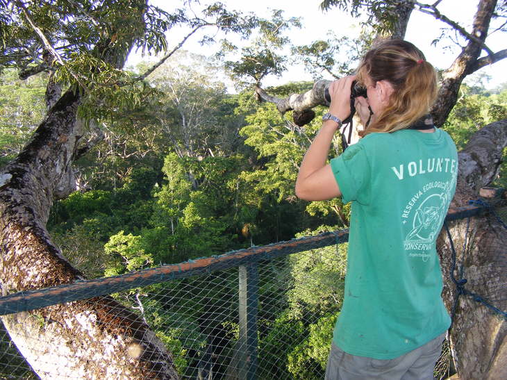 projects-abroad-Article 522 and 79 VolunteerForever