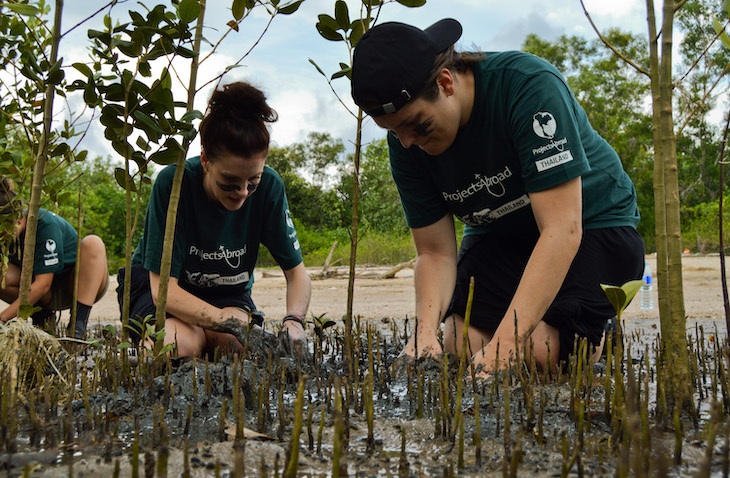 projects-abroad-gap-year volunteer to plant trees with Projects Abroad
