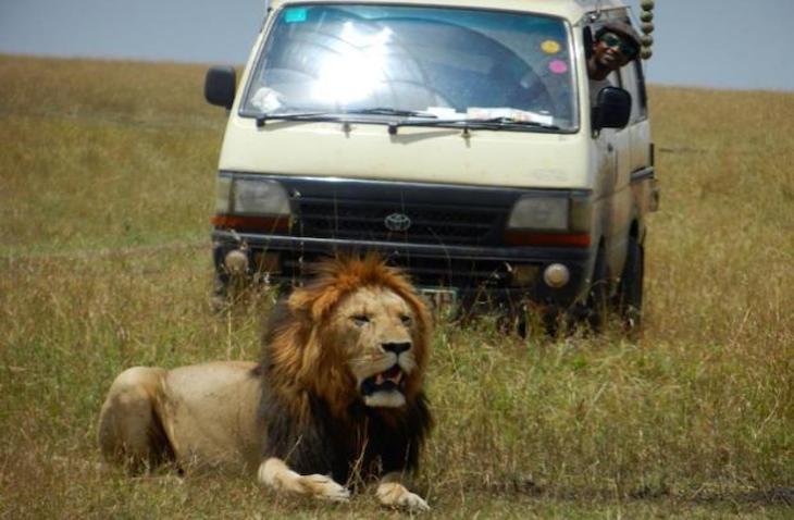 Safari_730x478-min african safari volunteer programs safari volunteer work south africa safari volunteer work africa safari volunteer work safari volunteer trips safari volunteer work south africa safari volunteer work africa safari volunteer safari volunteer work safari volunteer trips volunteer safari kenya volunteer safari park horse safari volunteer safari park volunteer safari west volunteer wildlife safari volunteer botswana safari volunteer mozambique horse safari volunteer lion country safari volunteer volunteer and safari in africa african safari volunteer trips volunteer safari africa volunteer and safari in africa safari park volunteer african safari volunteer trips