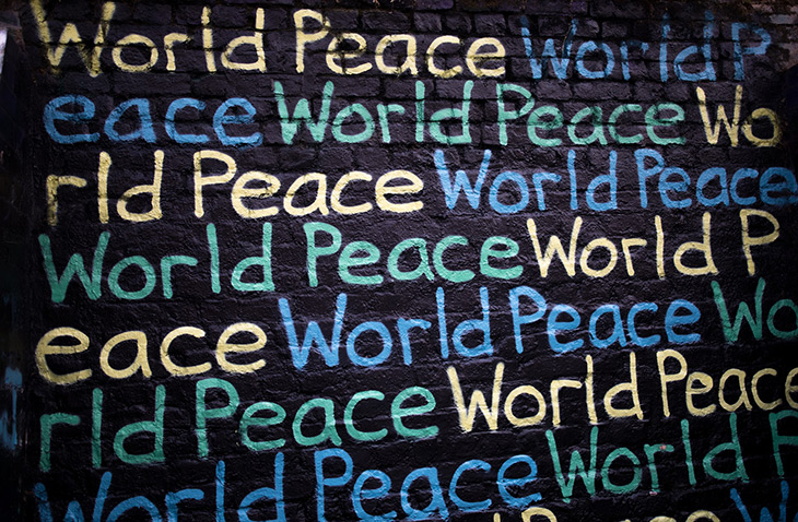 Section-Image United Nations volunteer jobs