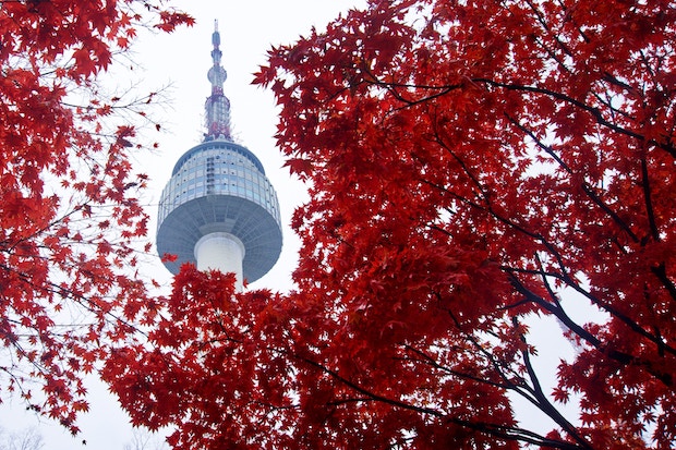 seoul-south-korea-teach-english VolunteerForever