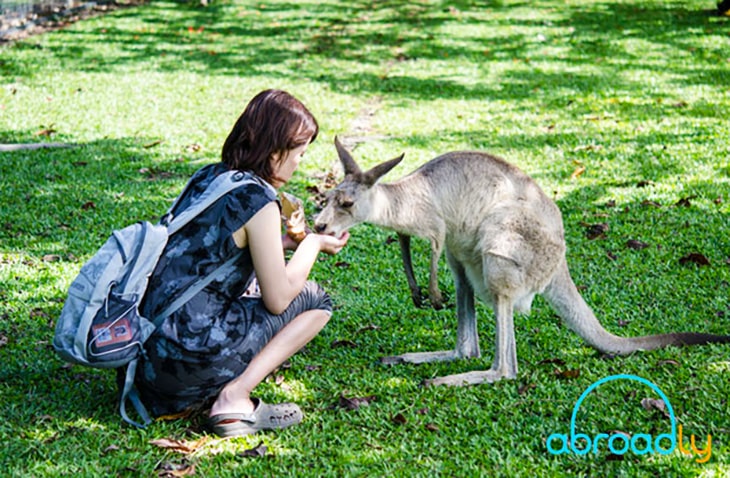 Short-Term-Volunteer-Abroad-Programs-Abroadly short term volunteer opportunities with Abroadly