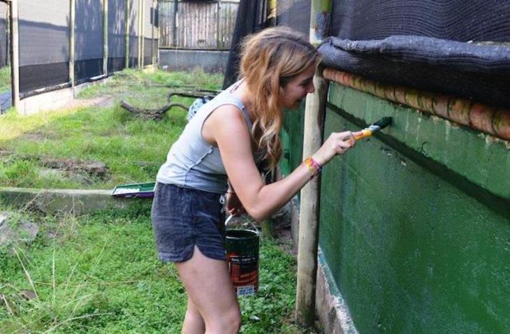 south-africa-enclosure_730x478-min VolunteerForever