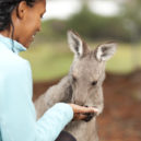 is australia cheap to travel how to travel australia cheap australia travel cheap cheap travel insurance to australia australia travel cheap