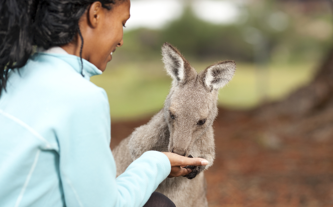 is australia cheap to travel how to travel australia cheap australia travel cheap cheap travel insurance to australia australia travel cheap