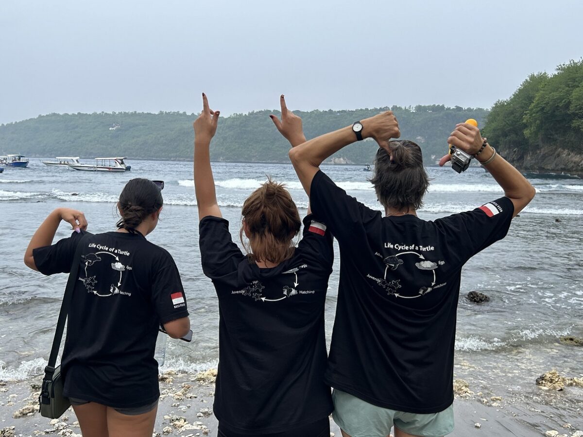 youth volunteer abroad programs youth volunteer abroad programs youth volunteer abroad programs youth volunteer abroad asia youth volunteer abroad programs