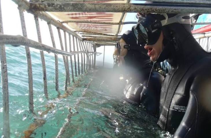 VF_GoEco_Sharks_730x478 VolunteerForever
