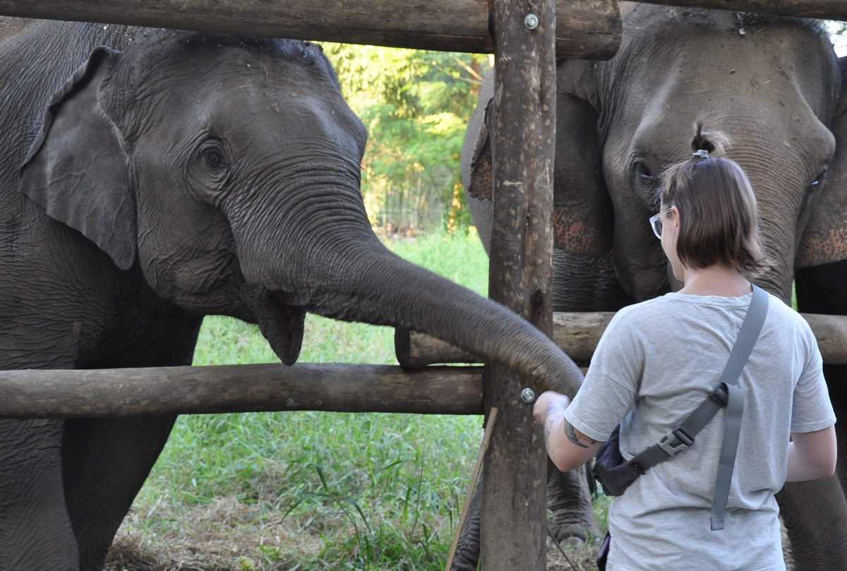 volunteer in thailand elephant sanctuary volunteer in thailand visa volunteer in thailand volunteer work in thailand volunteer opportunities in thailand volunteer teaching in thailand medical volunteer in thailand volunteer teacher in thailand volunteer work in thailand with elephants volunteer organizations in thailand can you volunteer in thailand on a tourist visa can i volunteer in thailand can you volunteer in thailand how to volunteer in thailand how can i volunteer in thailand how to get a volunteer visa in thailand volunteer in thailand elephant sanctuary volunteer in thailand visa can you volunteer in thailand on a tourist visa volunteer work in thailand with elephants volunteer with animals in thailand volunteer to teach english in thailand how to volunteer in thailand how to get a volunteer visa in thailand can you volunteer in thailand on a tourist visa can i volunteer in thailand can you volunteer in thailand where to stay and volunteer in thailand volunteer to teach english in thailand volunteer to help elephants in thailand do i need a visa to volunteer in thailand do you need a visa to volunteer in thailand volunteer for stray dogs in thailand volunteer in thailand with elephants volunteer work with elephants in thailand how to volunteer in thailand where to stay and volunteer in thailand volunteer in thailand with elephants volunteer in thailand with elephants volunteer opportunities in thailand volunteer work in thailand where to stay and volunteer in thailand volunteer teaching english in thailand volunteer programs in thailand volunteer in chiang mai thailand where to stay and volunteer in thailand thailand volunteer with elephants volunteer with animals in thailand volunteer trips to thailand how to get a volunteer visa in thailand volunteer program for thailand how to volunteer in thailand how to get a volunteer visa in thailand can you volunteer in thailand on a tourist visa can i volunteer in thailand can you volunteer in thailand volunteer thailand visa volunteer thailand elephants volunteer thailand elephants volunteer thailand accommodation volunteer thailand volunteer thailand visa thailand volunteer programs thailand volunteer work thailand volunteer teaching english thailand volunteer organizations