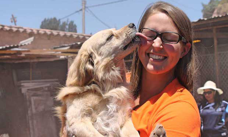 volunteer-at-dog-shelters-abroad Volunteer Forever - Veterinary Volunteer Programs and Internships
