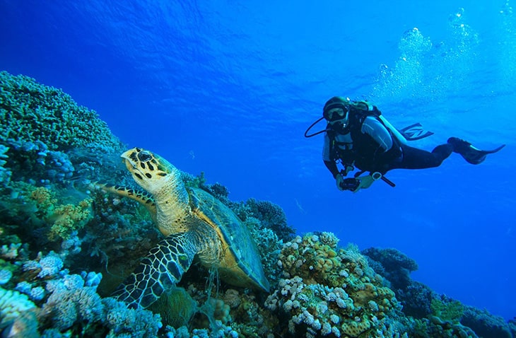 Volunteer-in-Bali-Frontier volunteer for sea turtles in Bali