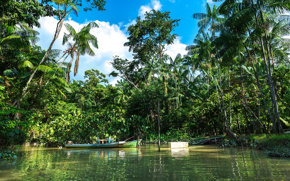 volunteer in Brazil and Ecuador