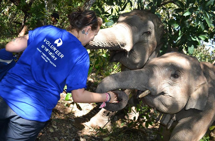 Volunteer-in-Thailand-GVI how to volunteer in thailand can i volunteer in thailand can you volunteer in thailand thailand volunteer with elephants volunteer with animals in thailand volunteer trips to thailand volunteer program for thailand volunteer thailand org volunteer thailand free accommodation volunteer thailand free volunteer thailand elephants volunteer thailand dogs volunteer thailand elephants volunteer thailand free accommodation volunteer thailand free volunteer thailand volunteer thailand dogs thailand volunteer programs thailand volunteer teaching english where to stay and volunteer in thailand where to stay and volunteer in thailand volunteer for stray dogs in thailand volunteer with elephants in thailand where to stay and volunteer in thailand volunteer to help elephants in thailand volunteer to teach english in thailand volunteer thailand elephants volunteer thailand animals volunteer thailand elephants volunteer thailand animals volunteer in thailand thailand volunteer programs elephant sanctuary thailand volunteer work volunteer work in thailand thailand elephant sanctuary volunteer job thailand volunteer