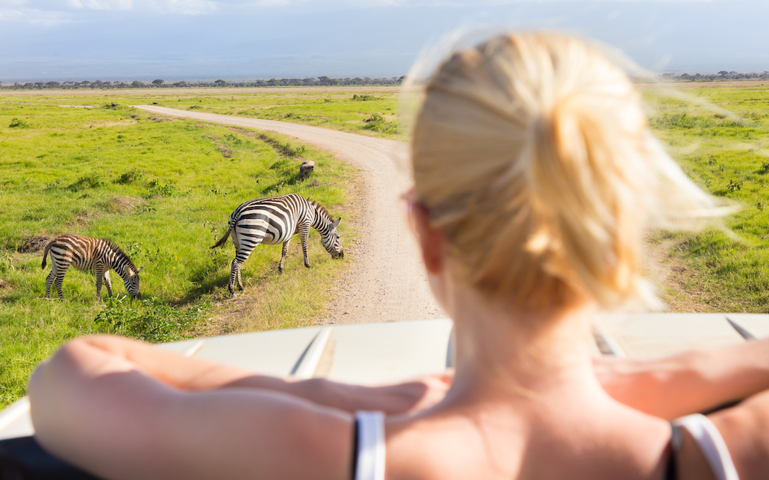 african safari volunteer programs safari volunteer work south africa safari volunteer work africa safari volunteer work safari volunteer trips safari volunteer work south africa safari volunteer work africa safari volunteer safari volunteer work safari volunteer trips volunteer safari kenya volunteer safari park horse safari volunteer safari park volunteer safari west volunteer wildlife safari volunteer botswana safari volunteer mozambique horse safari volunteer lion country safari volunteer volunteer and safari in africa african safari volunteer trips volunteer safari africa volunteer and safari in africa safari park volunteer african safari volunteer trips