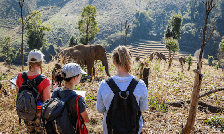 gvi-article-elephants2 Volunteer Forever - Global Vision Internationa