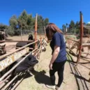 VolunteerForever
