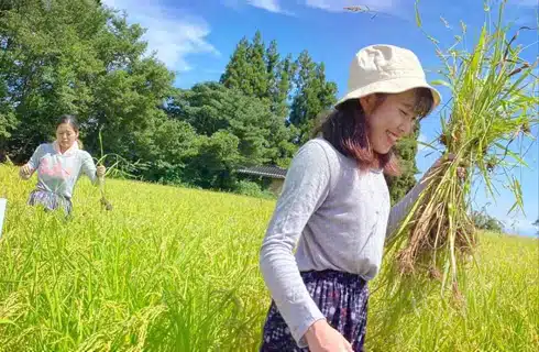 intern japan japan intern program how to intern in japan technical intern training program japan technical intern japan intern in japan internship to japan internship japan for foreigners japan internship for international students japan internship for high school students what is the japan internship program internship japan english internship japan engineering internship japan summer internship japan for foreigners internship japan computer science internship japan for foreigners internship japan computer science internship japan internship japan english internship japan engineering internship japan internship japan summer japan internship for international students japan internship program japan internship program for foreigners japan internship for international students